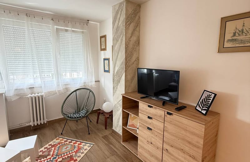 Alquiler de un acogedor piso de 2 habitaciones, 46 m², en el distrito de Vračar, Belgrado, Serbia